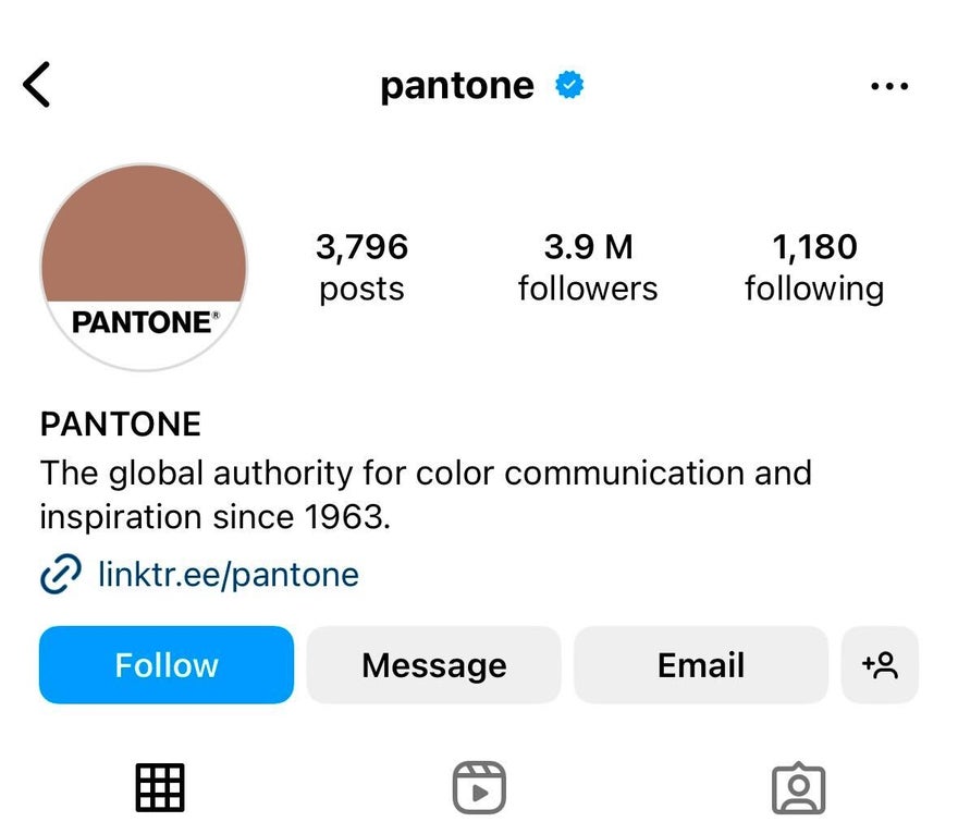 Aesthetic Instagram Bio Say What You Do Pantone's Instagram boo