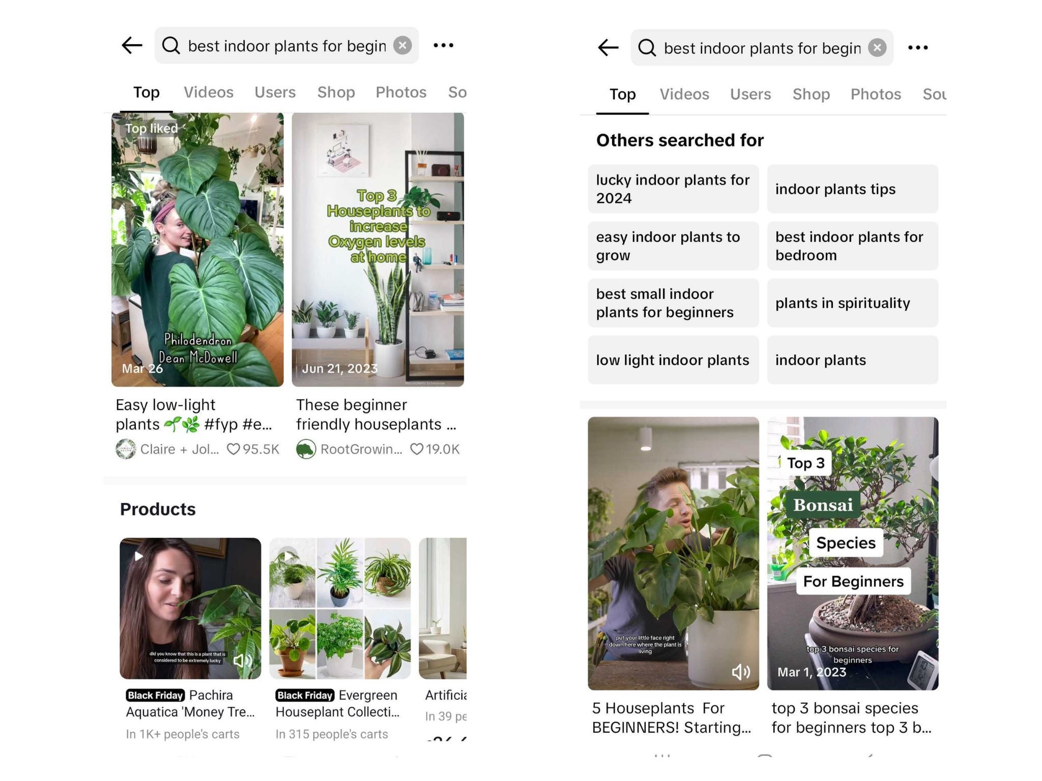 TikTok Search Features Screenshot of TikTok's search results for "best indoor house plants"