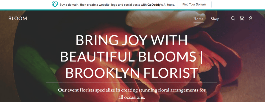 GoDaddy free plan banner a free website by GoDaddy inviting you to "Find Your Domain"