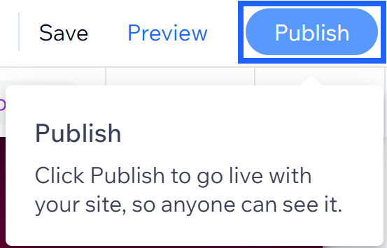 Wix editor publish button A blue box highlighting the "publish" button in Wix's editor